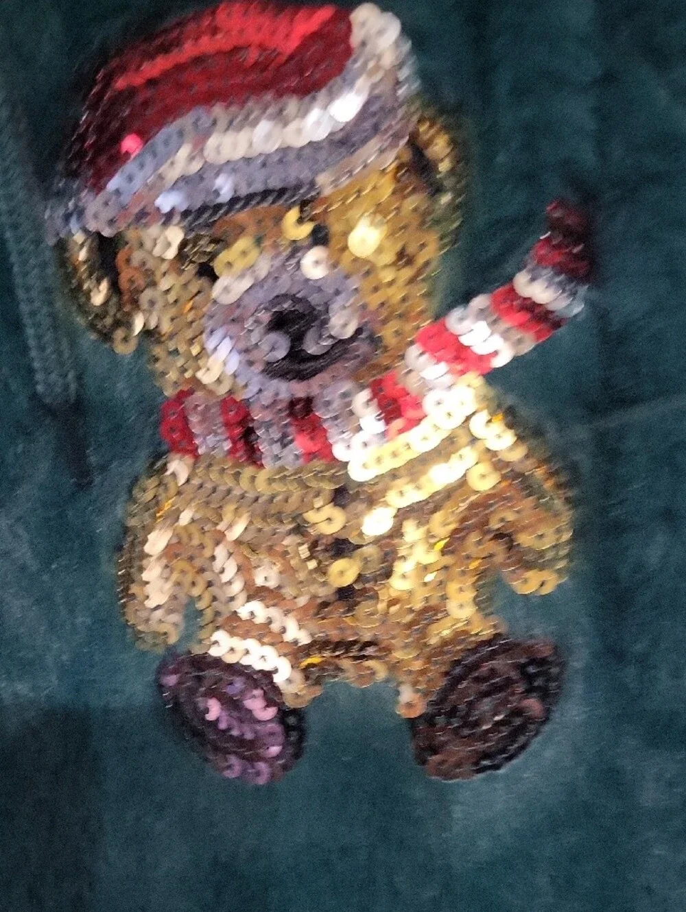 No Boundaries Teal Plush Joggers with Sequin Bear Accent